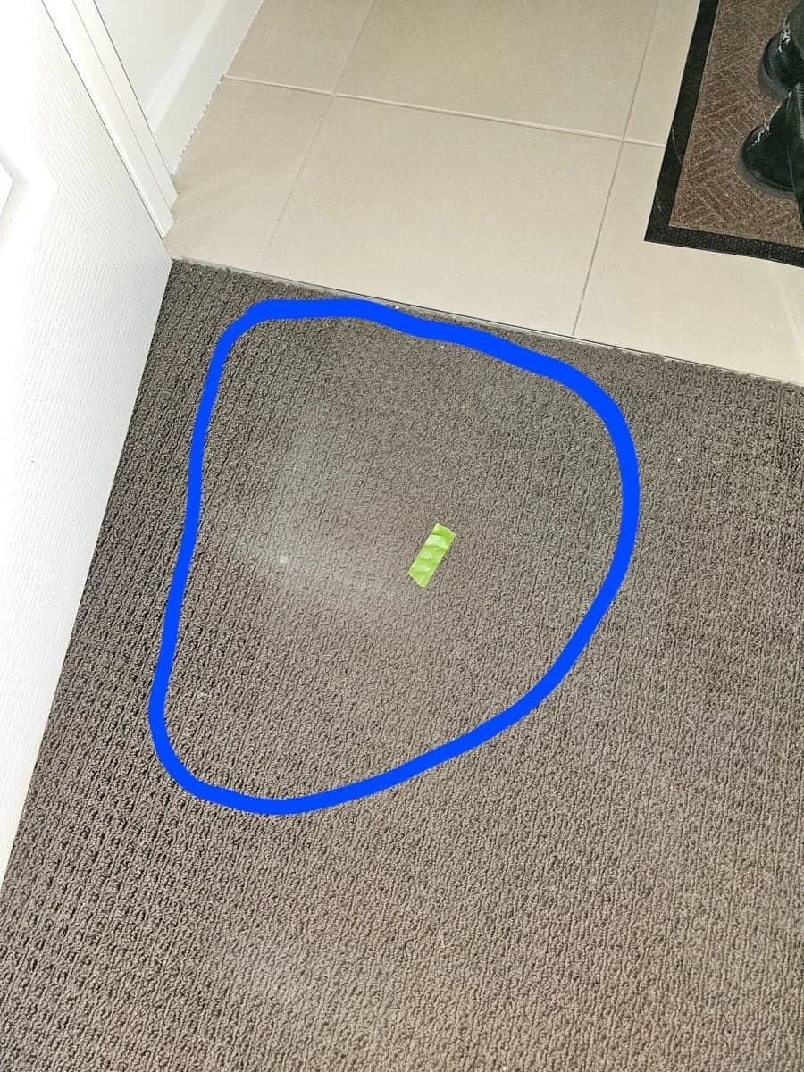 ee4c793d-77e0-4073-8478-7bed3c9492f9 photo 1