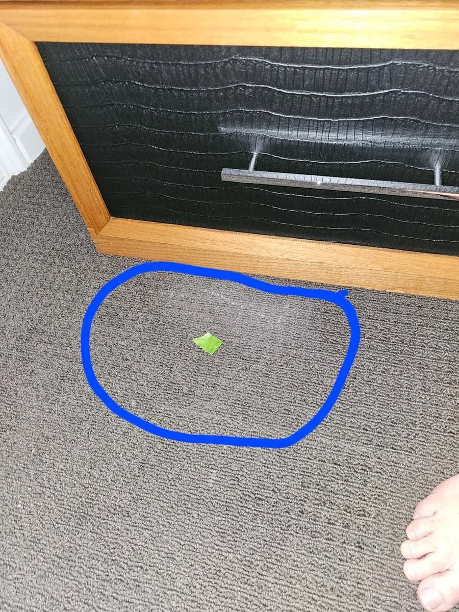 Jays Painting - Project 3