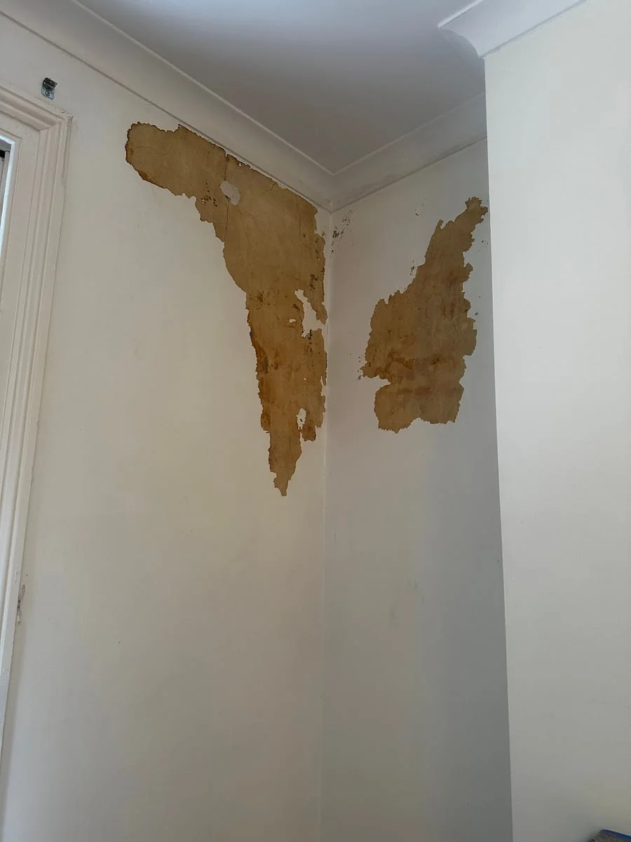 Mastro Painting and renovation - Project 4