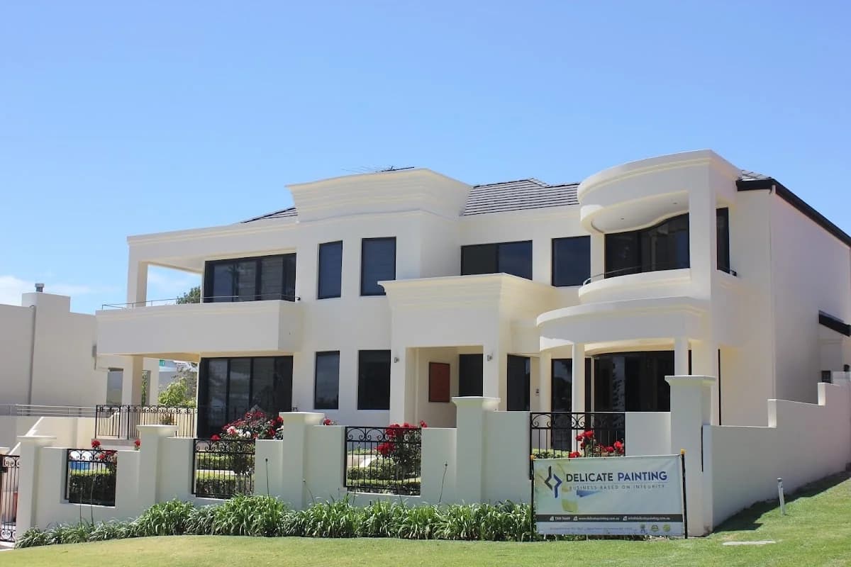 Delicate Painting - Project 2