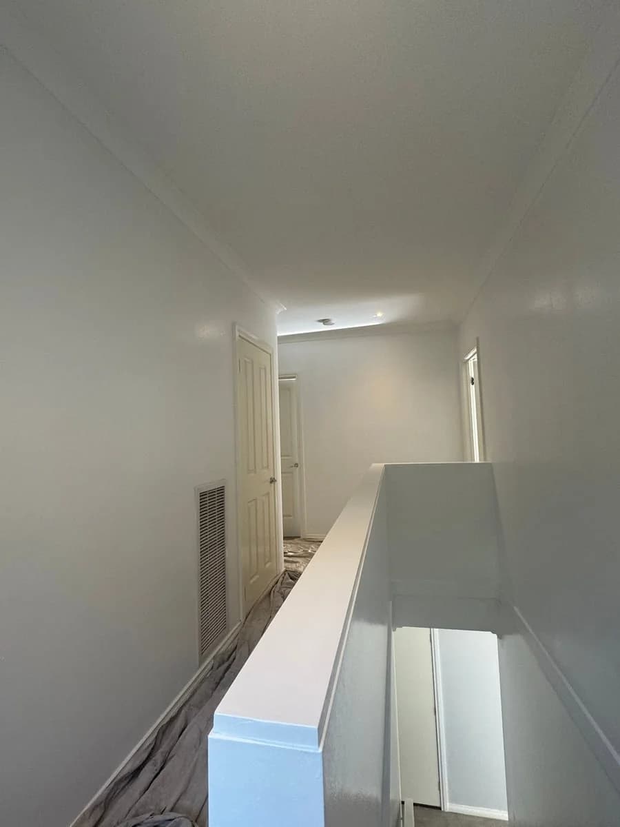 Omnipaint - Project 4