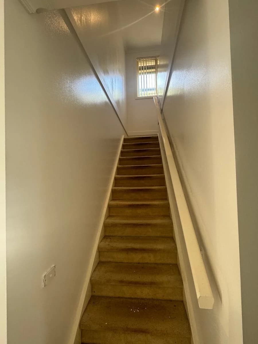 Omnipaint - Project 2