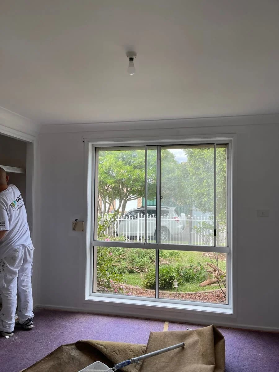 Color Paint Pty Ltd - Project 4