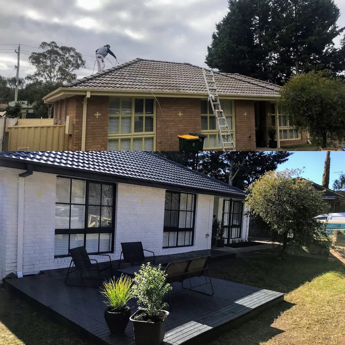 Bonza Painting - Project 4