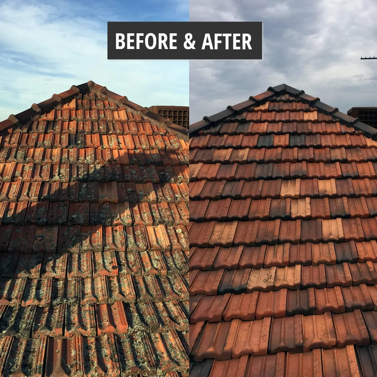 1253bff2-7e58-40dd-8cdb-5cf929f39004 photo 1