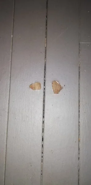 Oliver Hughes Painter and Carpenter - Project 1