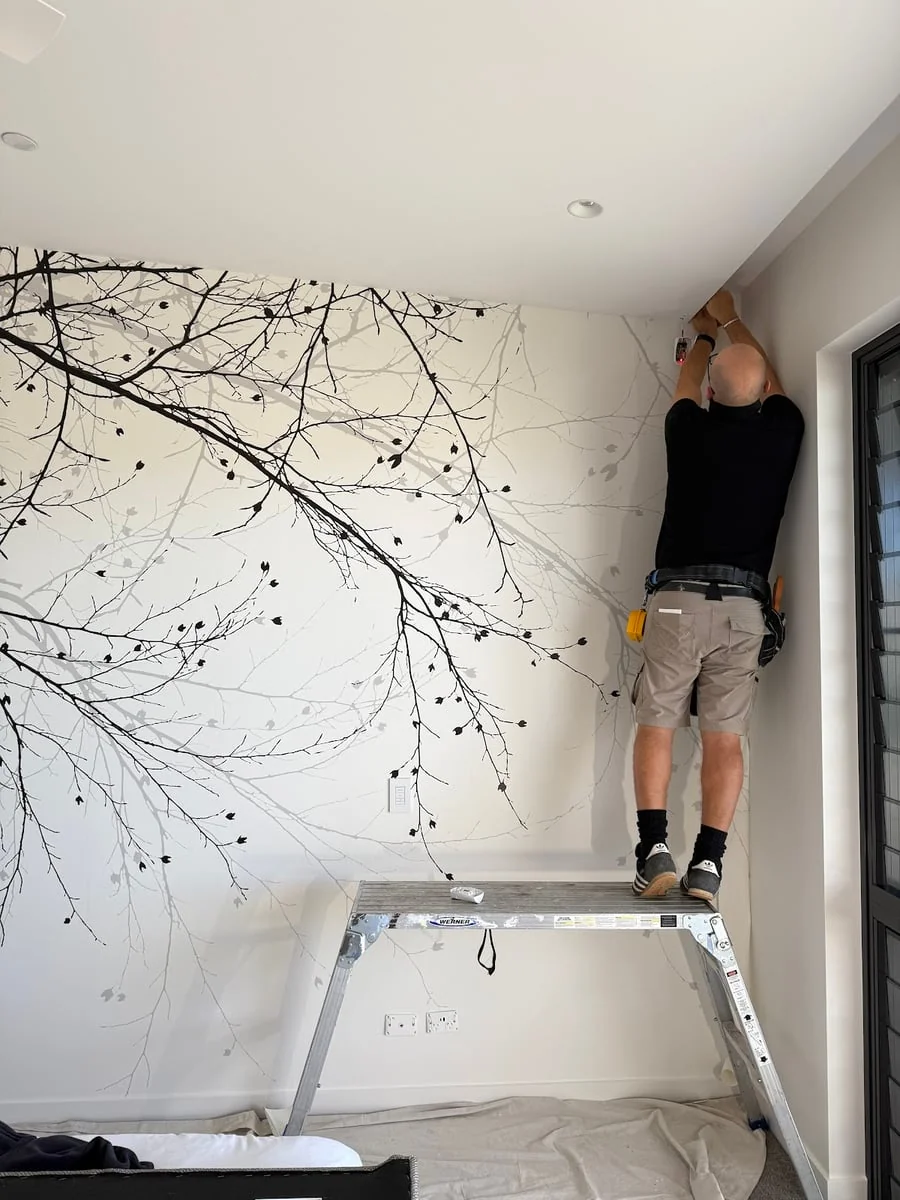 1ef34ae9-f161-48c7-b67c-b89da66f8572 photo 1