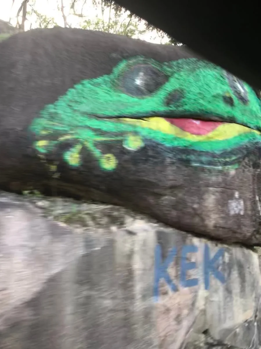 Frog Painting - Project 1