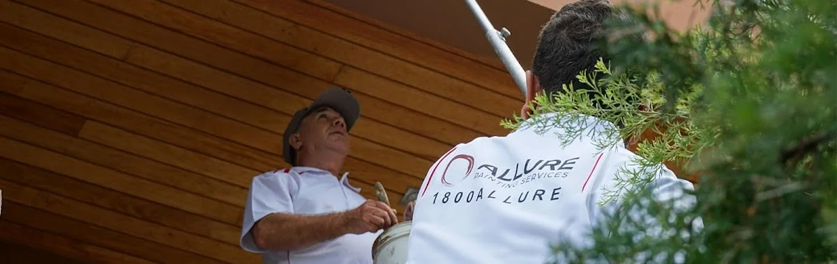 322558c8-142c-4a2e-a9d4-8e653a65252f photo 1