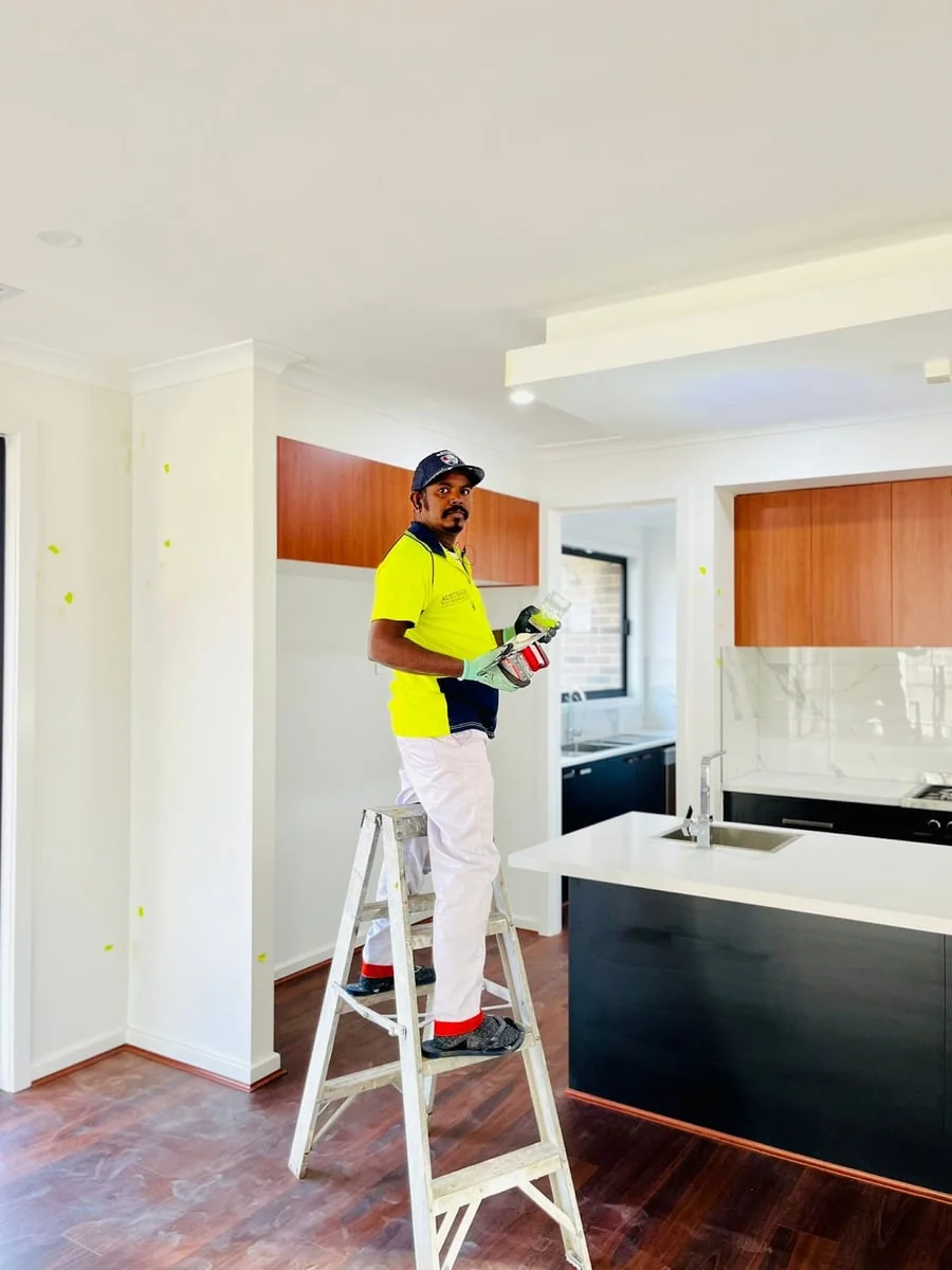 Anpu Painting Service - Main project