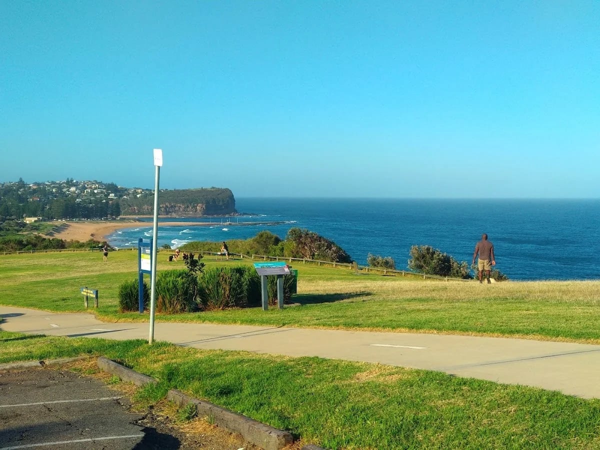 5a9b23de-2cb1-4146-910a-1dd0a0cf0546 photo 1