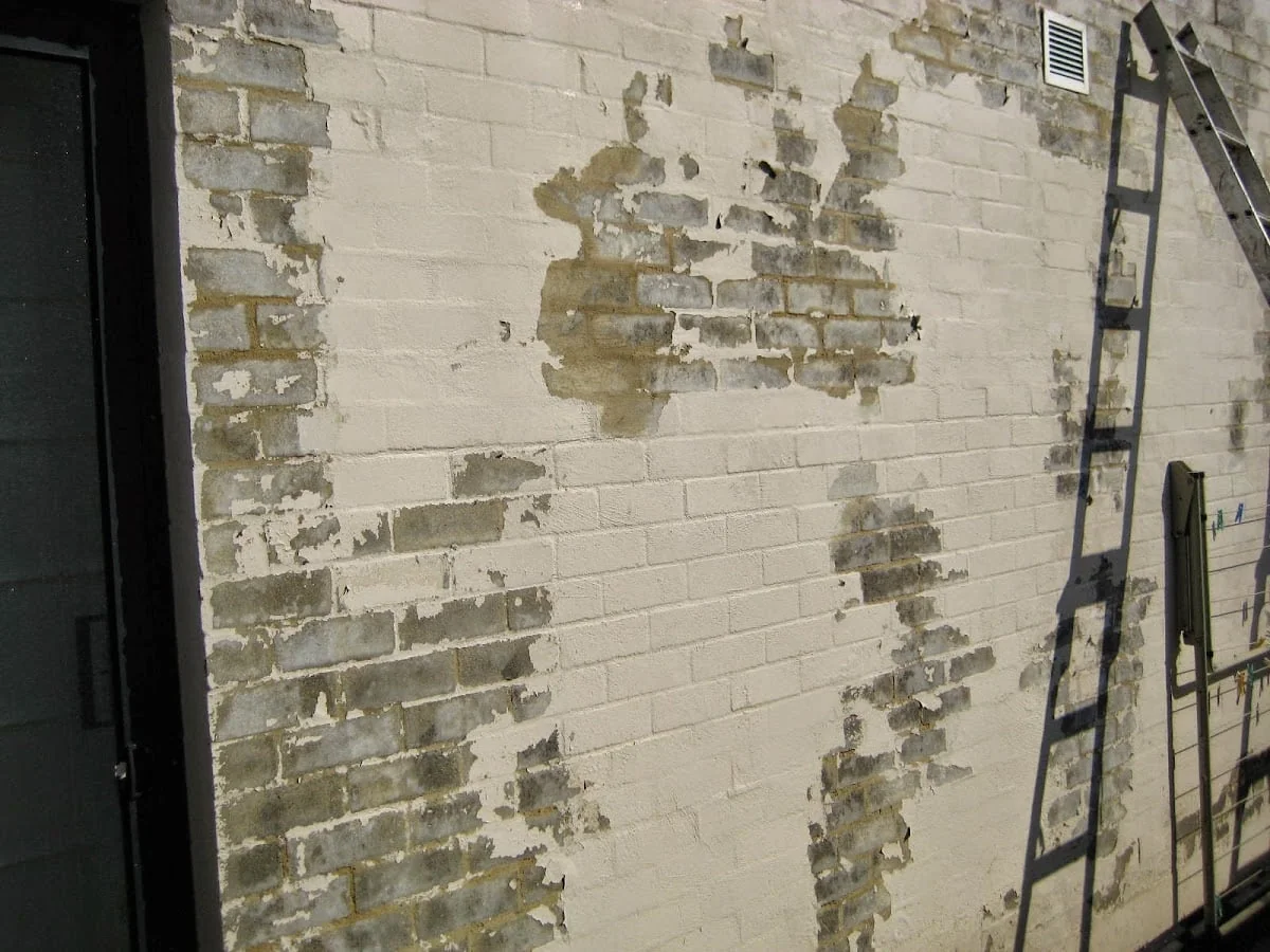 Seascape Painting and Decorating - Main project