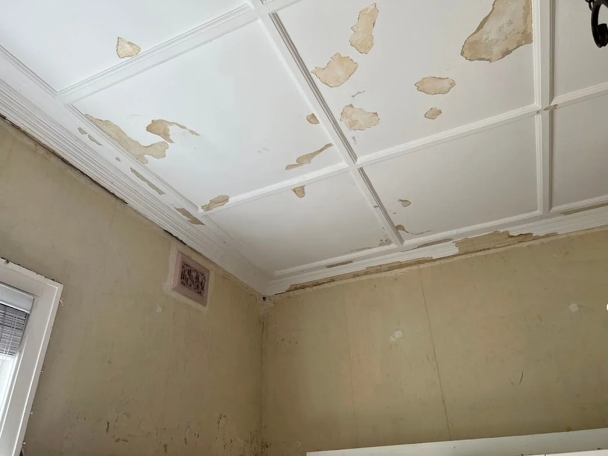 ABSOLUTELY AFFORDABLE PAINTING & DECORATION - Painting Services - Main project