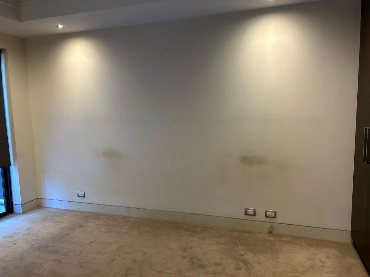 5cbfce14-bace-4a29-9895-98f2396cbf08 photo 1