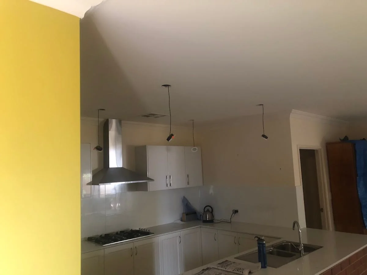 Local Stylist Painter - Main project