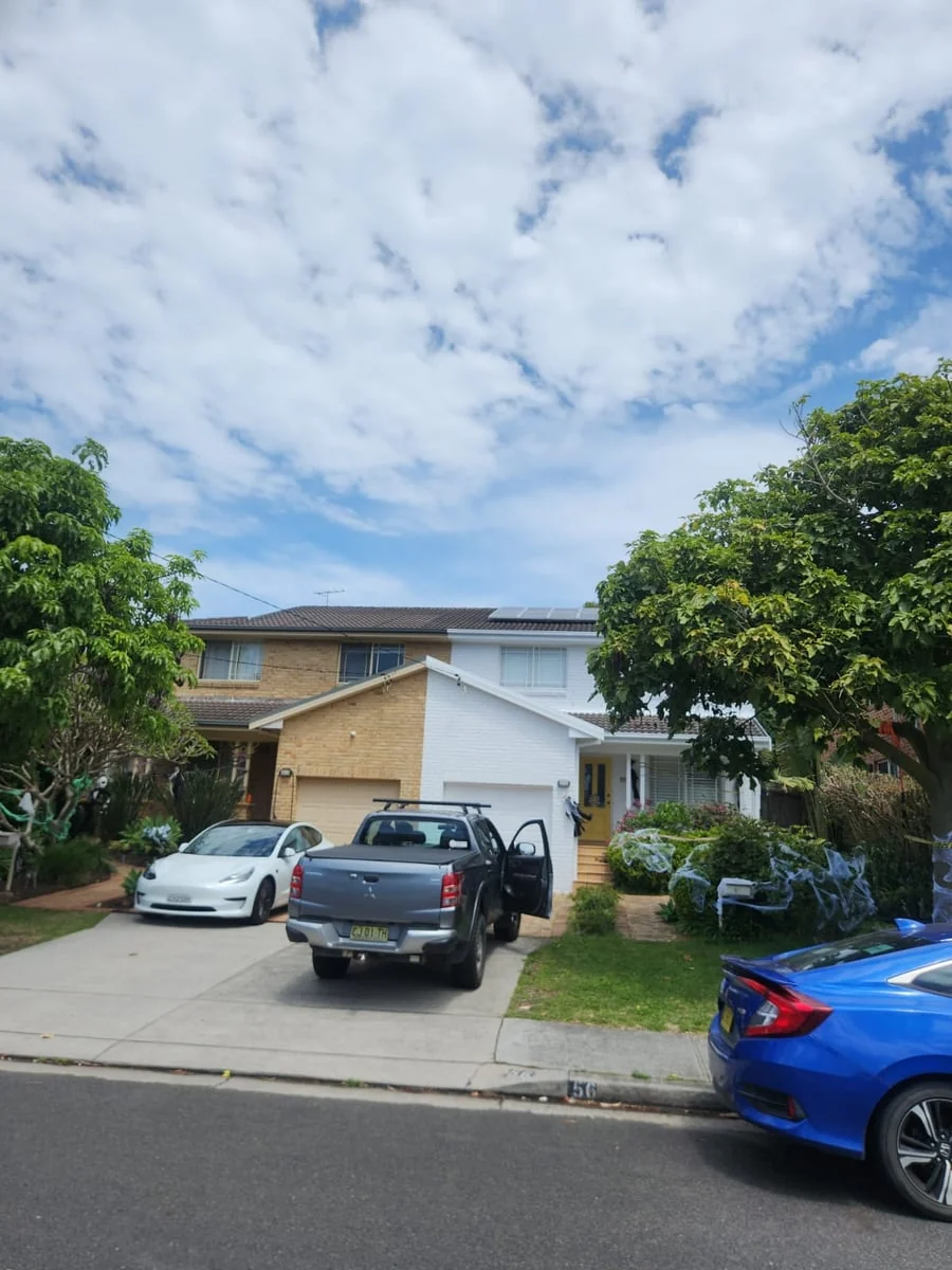 Violet Painting - Main project