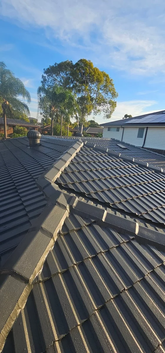 ca733c63-13a8-4cf9-bf86-4297a1eb2725 photo 1