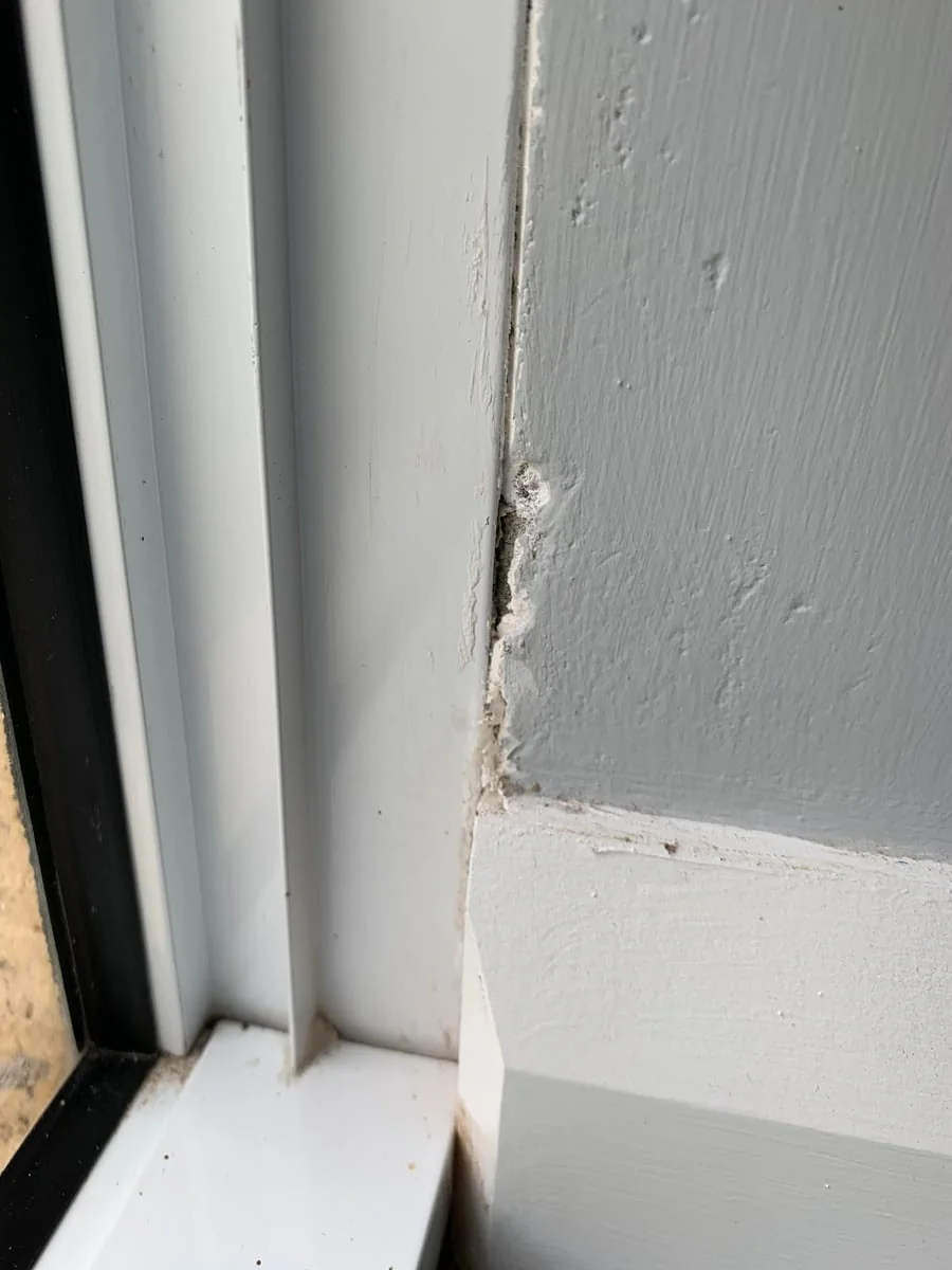 e10c9252-b9bc-497a-8615-38125dcad4ea photo 1