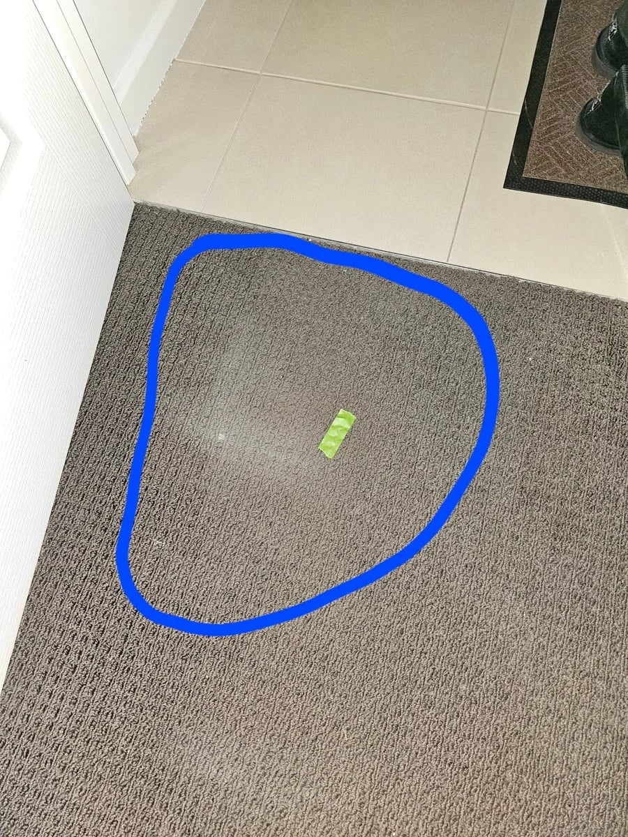 Jays Painting - Main project