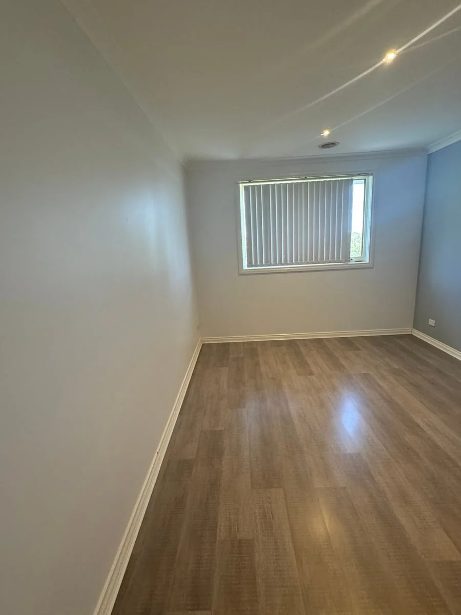 Omnipaint - Main project