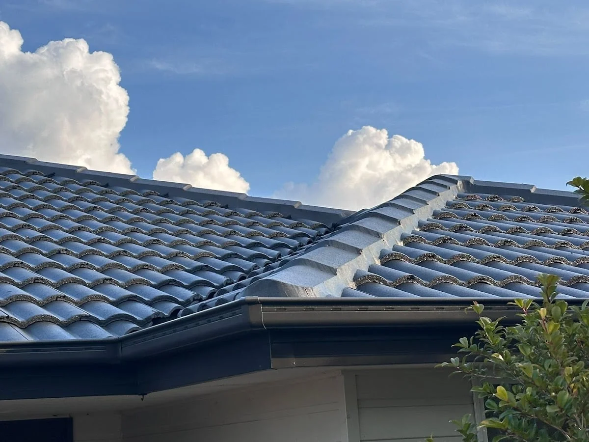 Roof Painters Sydney Janaki Painters - Main project