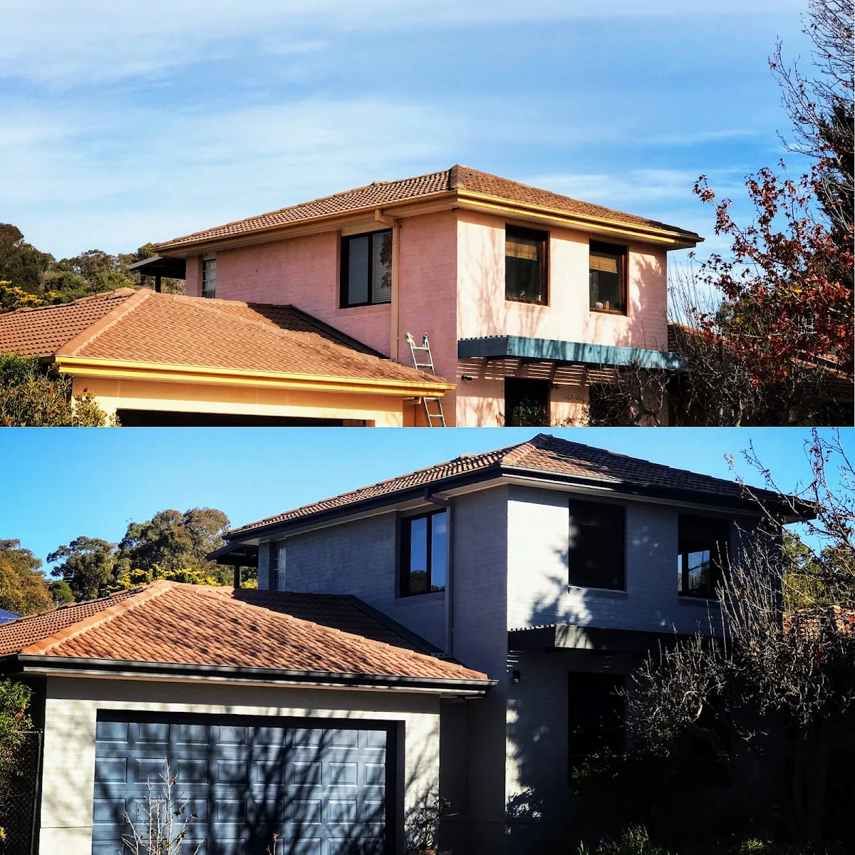 Bonza Painting - Main project