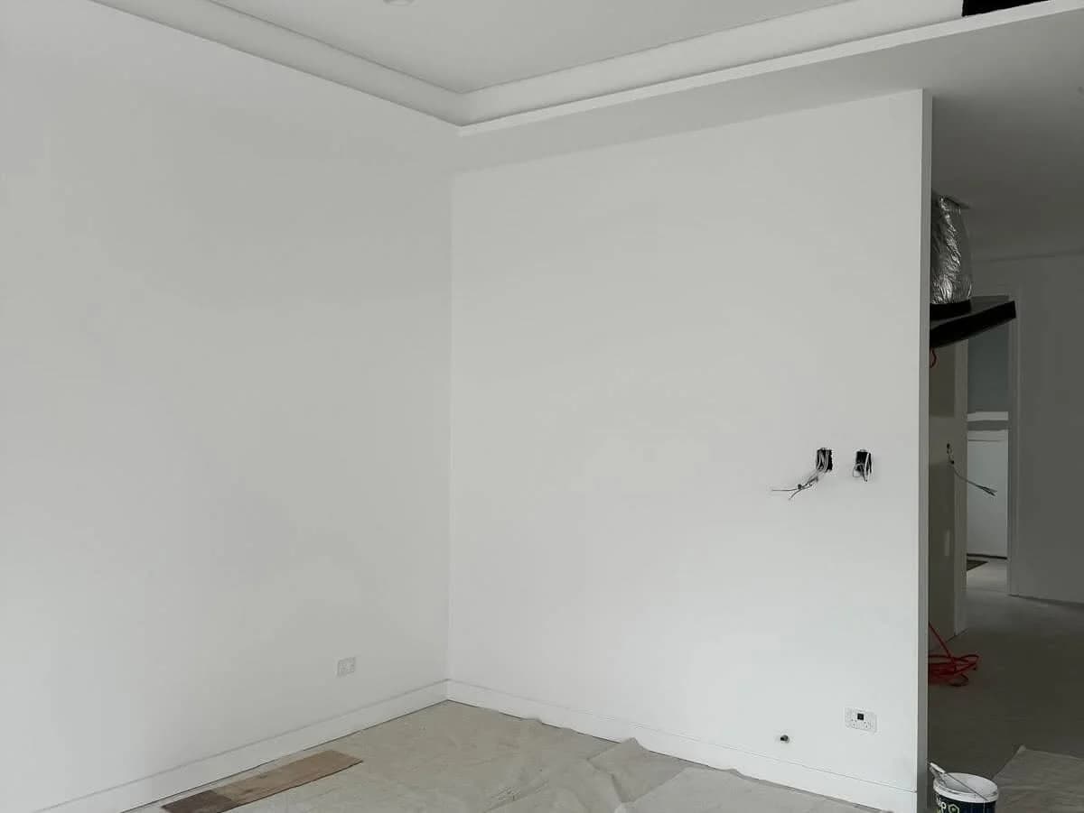 Dr Paint - Painting and Decorating - Project 5