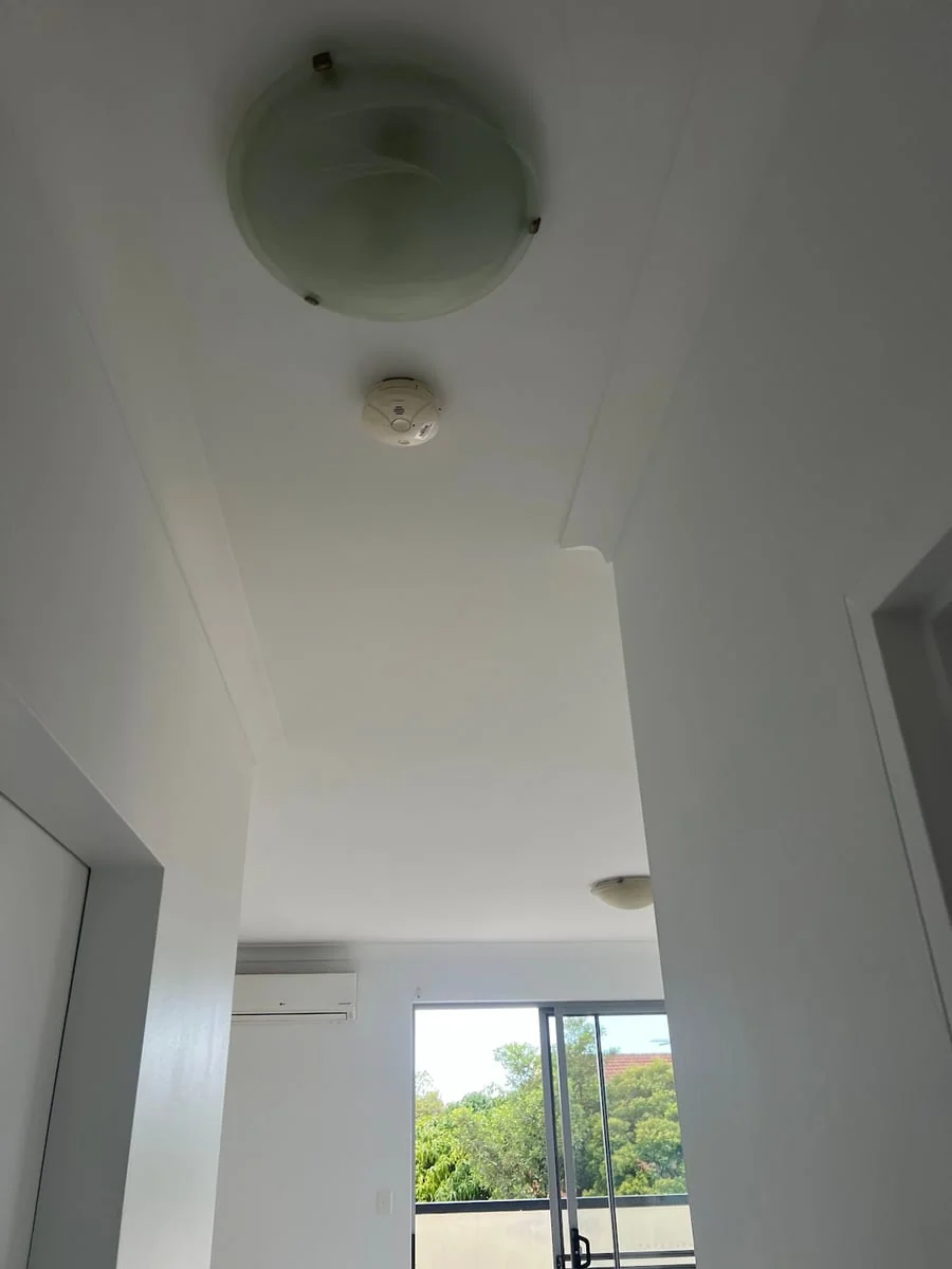 Dr Paint - Painting and Decorating - Project 4