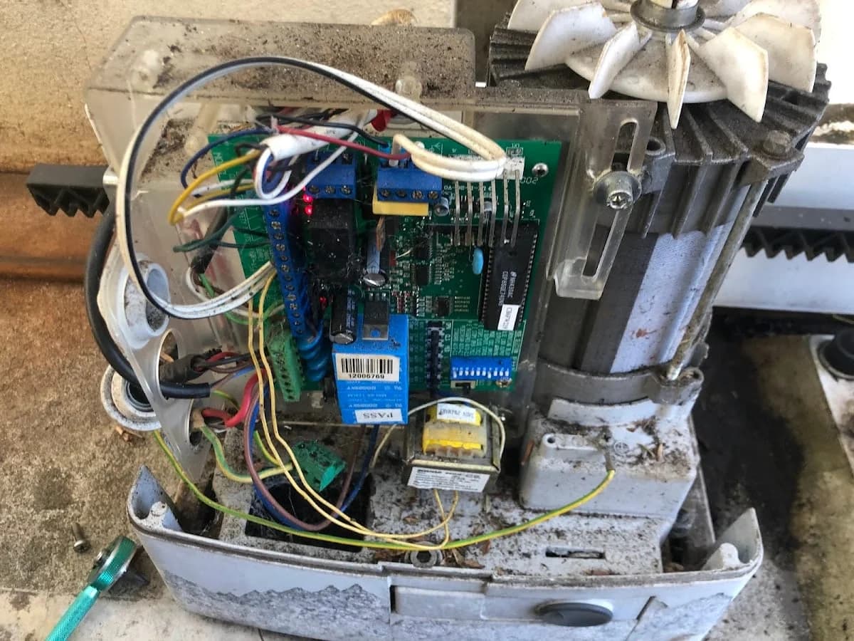 INTO THE WILD, gardening maintenance, painting & window cleaning in Perth - Project 3