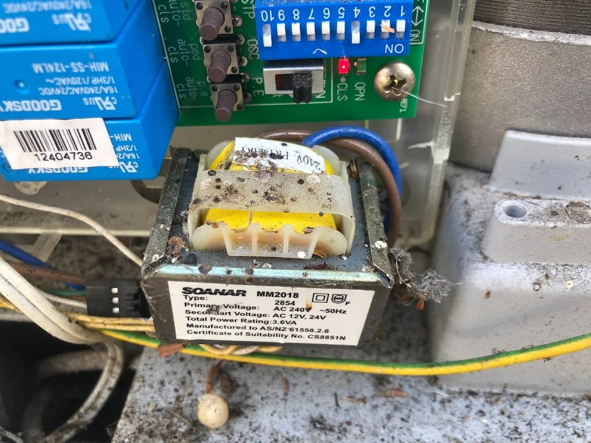 INTO THE WILD, gardening maintenance, painting & window cleaning in Perth - Main project