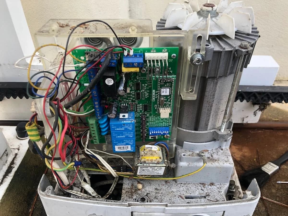 INTO THE WILD, gardening maintenance, painting & window cleaning in Perth - Project 2