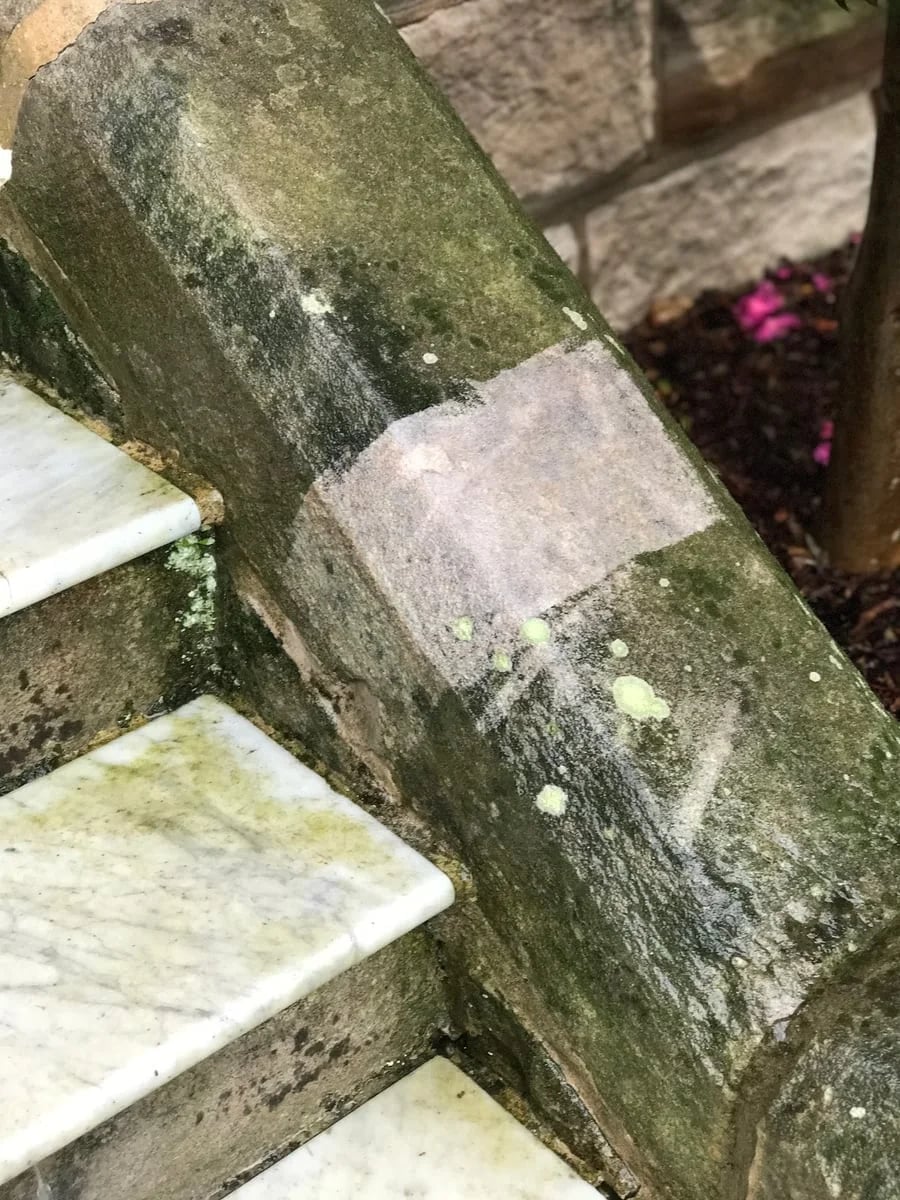 Green Earth Management - Main project