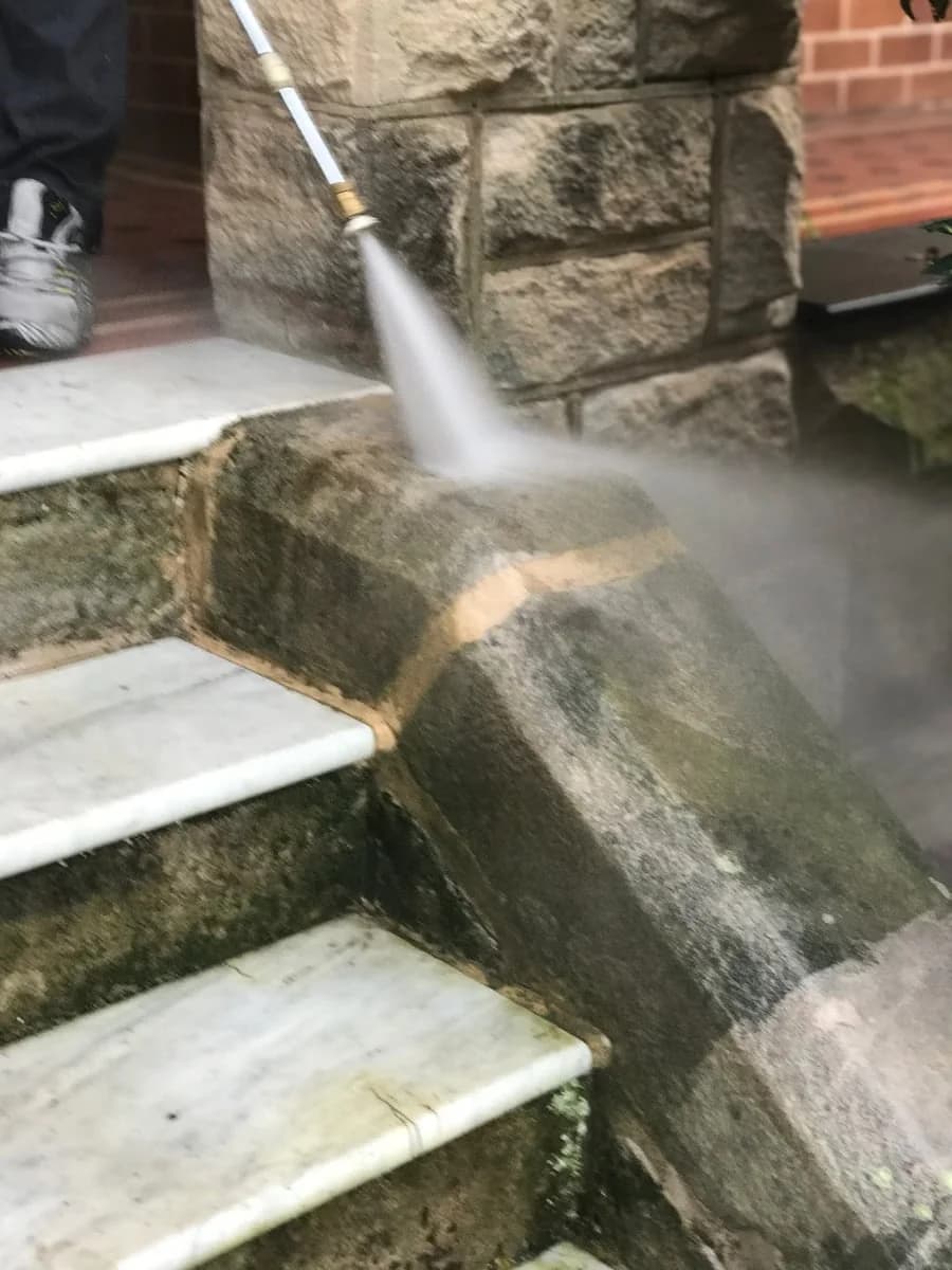 Green Earth Management - Project 2