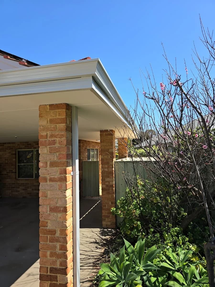 Avicenna Painting - Project 5