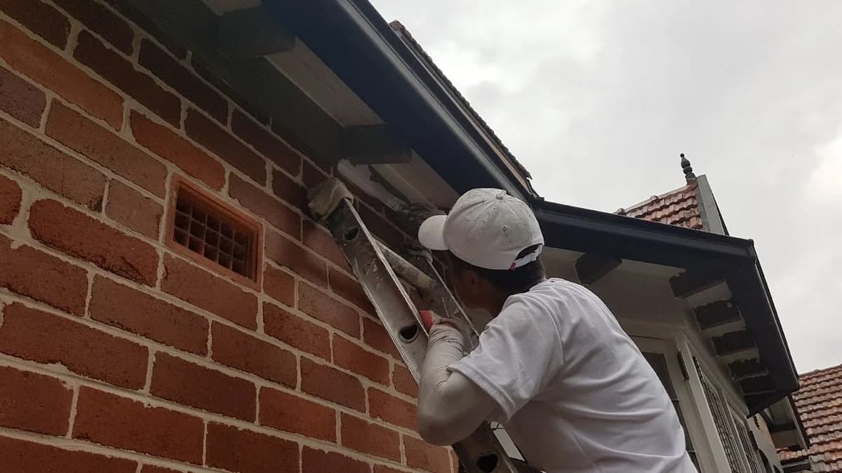 CK Prime Paint - Project 3