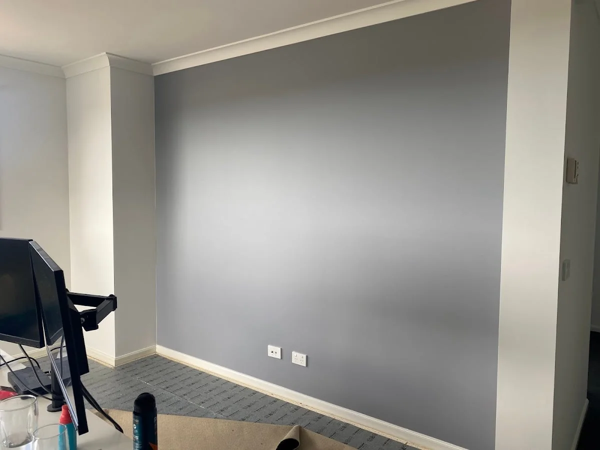 Davinchi Painting & Decoration - Project 5