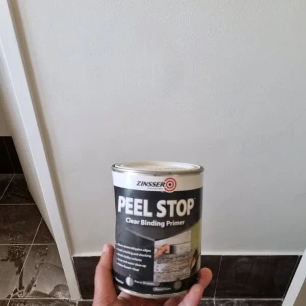 WA Prep and Painting - Project 3