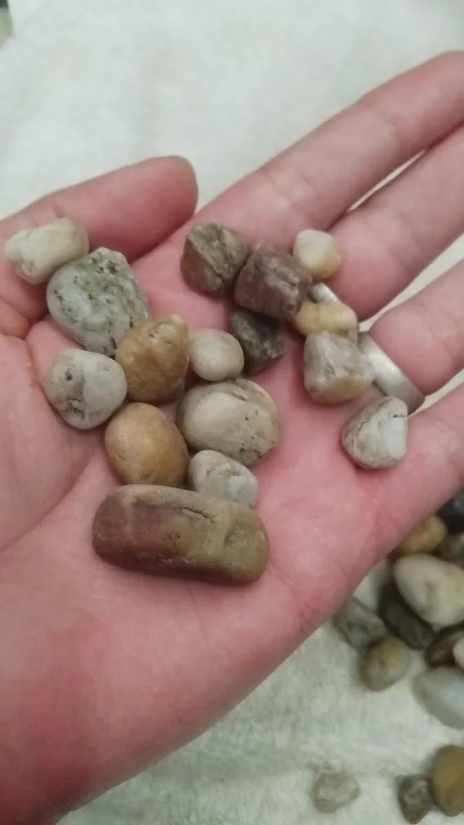 SS Painting And Decorating Services - Main project