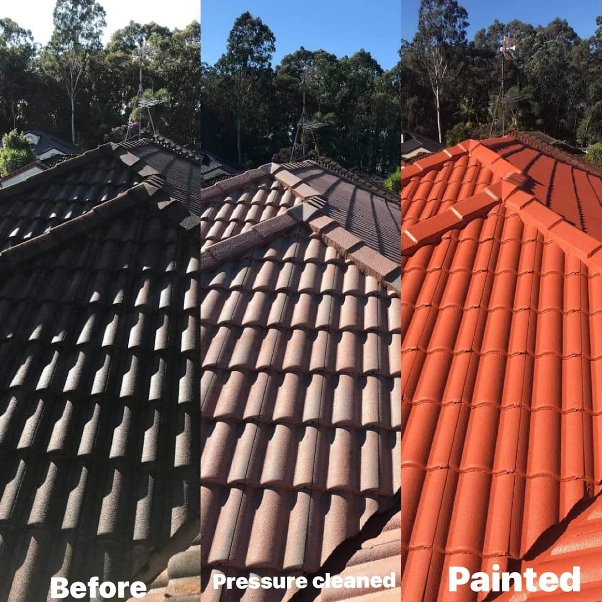 MJ Painting and Maintenance Services T.A MLADENOVSKI,JOVAN - Project 2