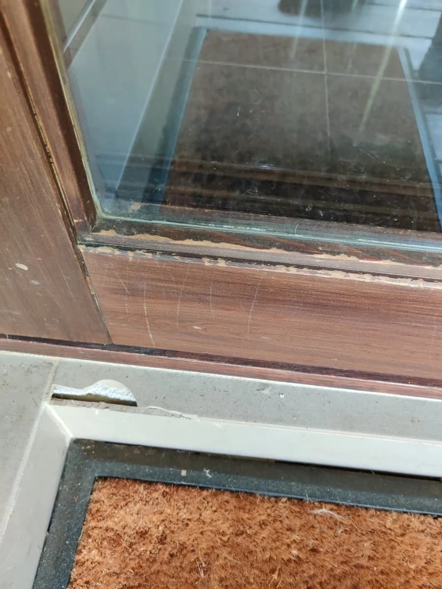 The Italian Painter - Project 5