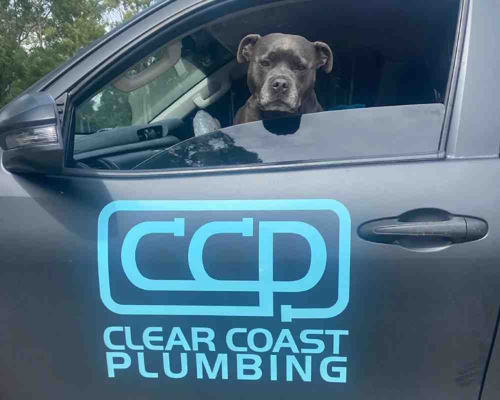 Clear Coast Plumbing - Main project