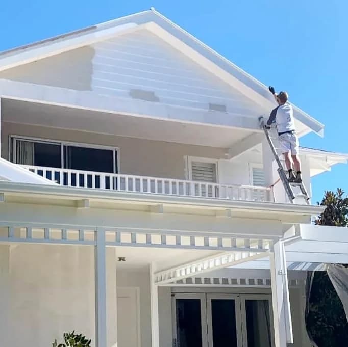 THE Painter | THE Stylist - Project 4