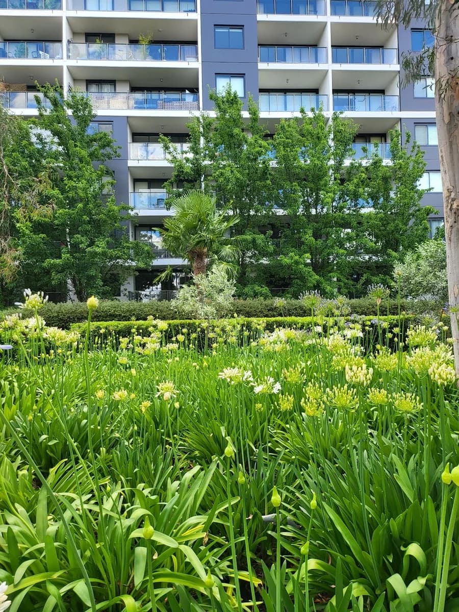 Impact Painting Canberra - Project 5