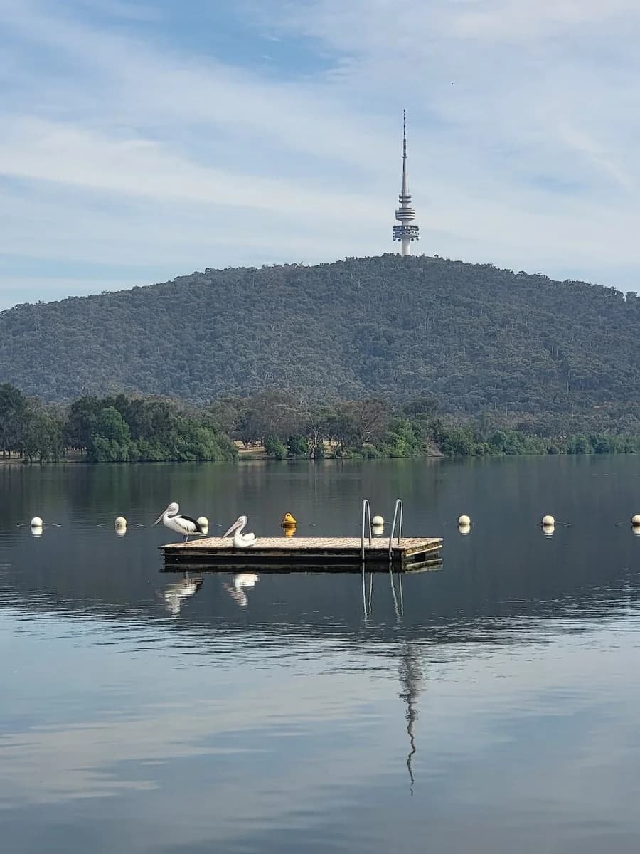 Impact Painting Canberra - Project 2