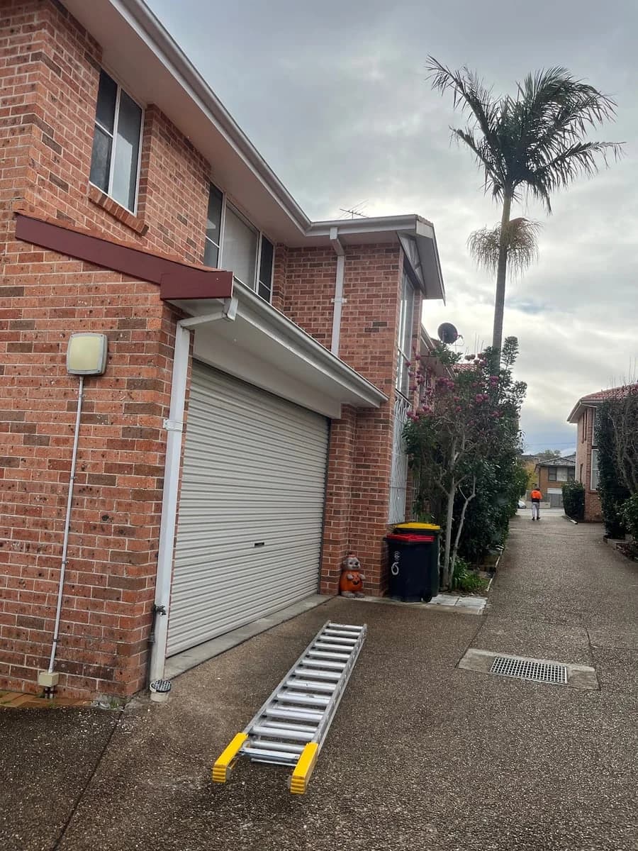 Australis Painting Group - Project 5