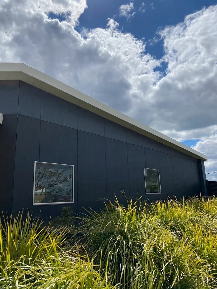 Gogoani Painting - Project 2