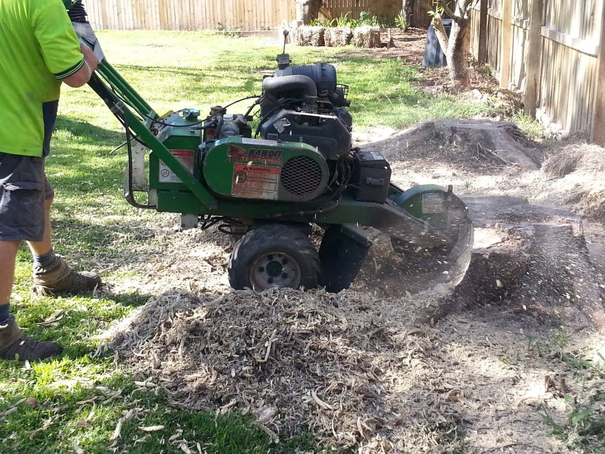 All Access Stump-Grinding
