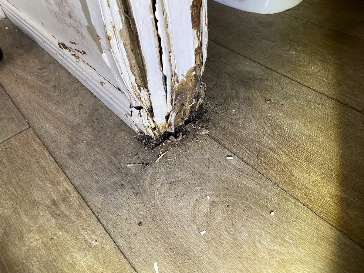 A1 Building & Pest Consultancy - Project 4