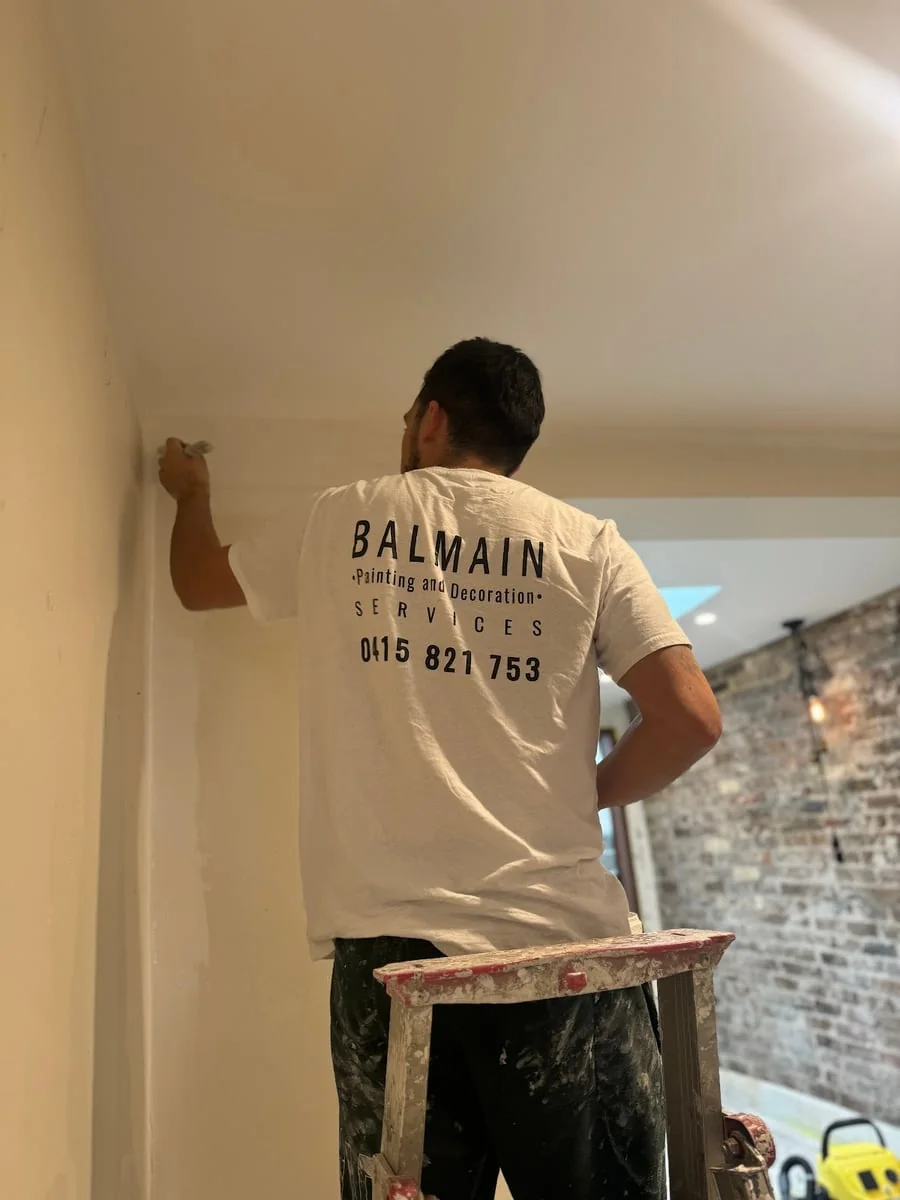 Balmain Painting - Project 4