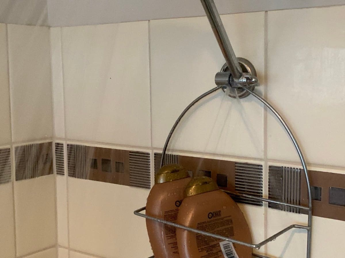 Absolute Domestics - Perth - Project 2